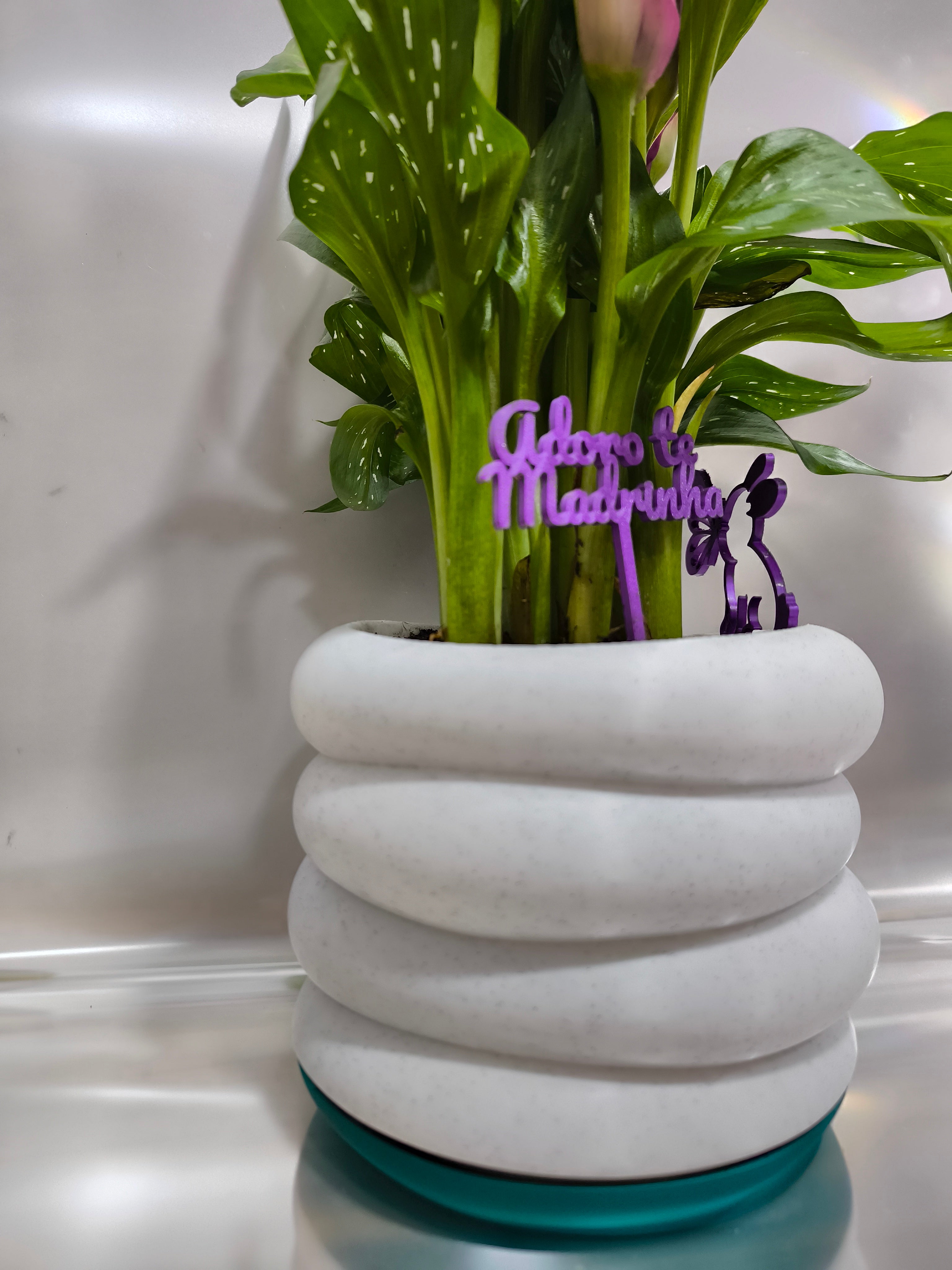 Vaso Decorativo Moderno para Plantas | Design Elegante e Minimalista