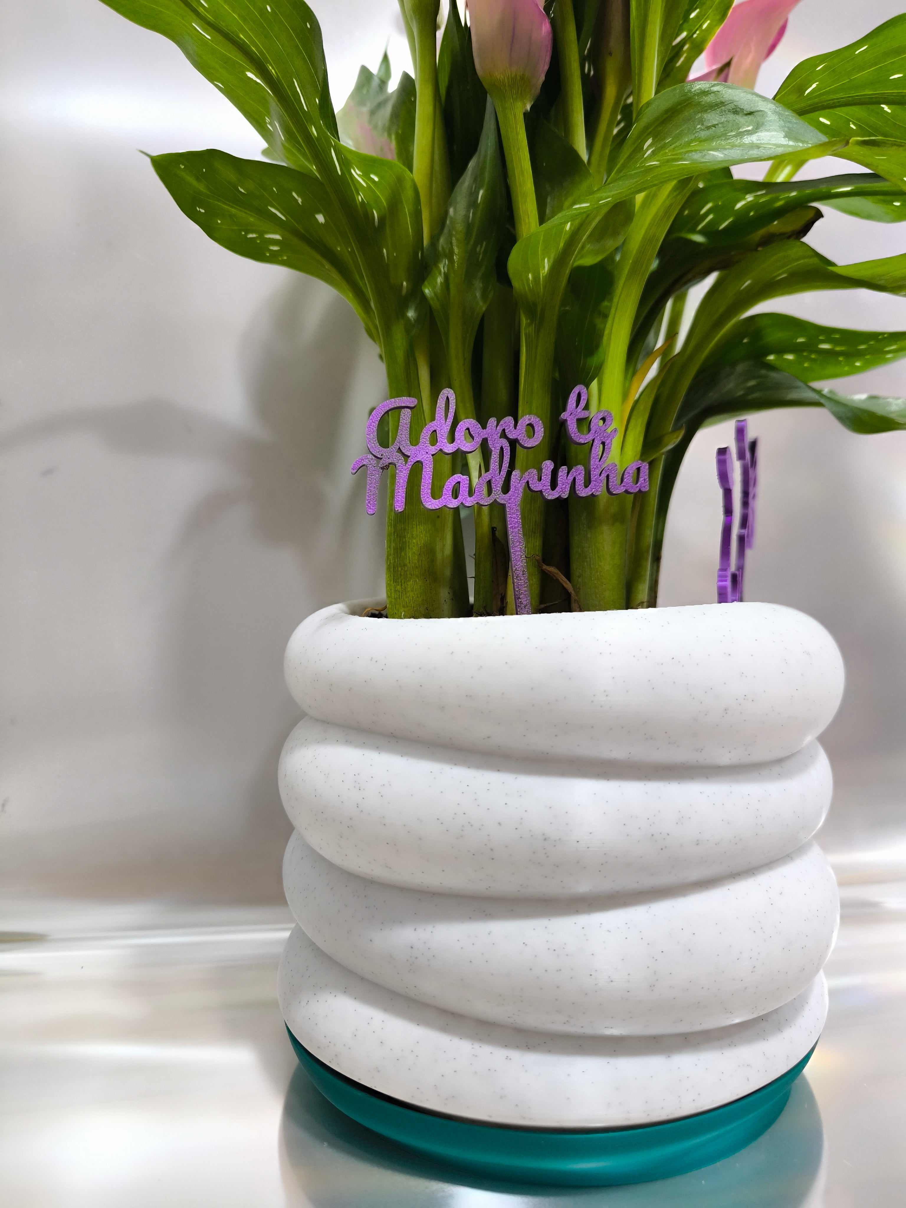 Vaso Decorativo Moderno para Plantas | Design Elegante e Minimalista