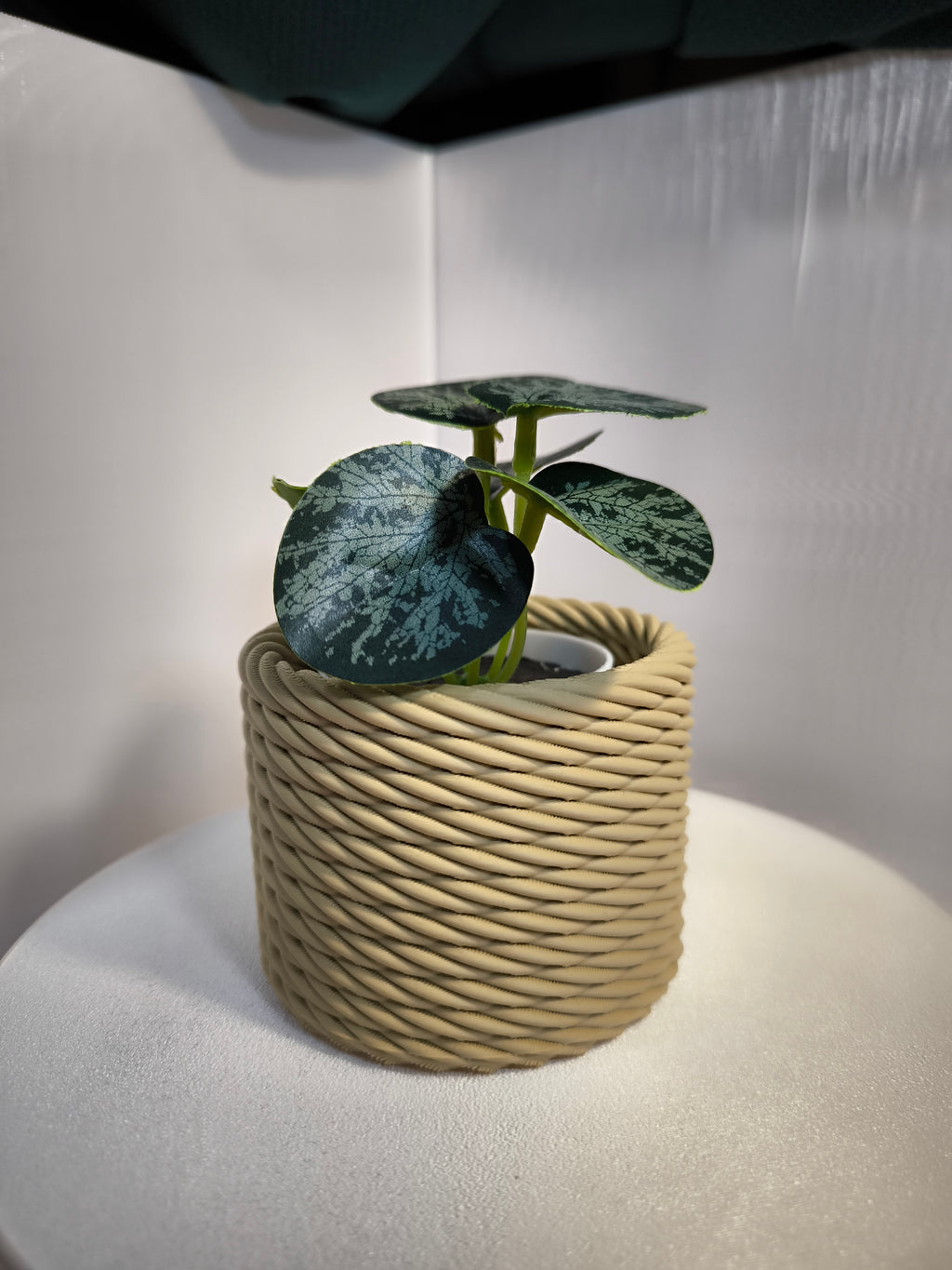 Vaso Decorativo "Corda Trançada" – O Toque que Faltava na sua Casa! 🌱✨