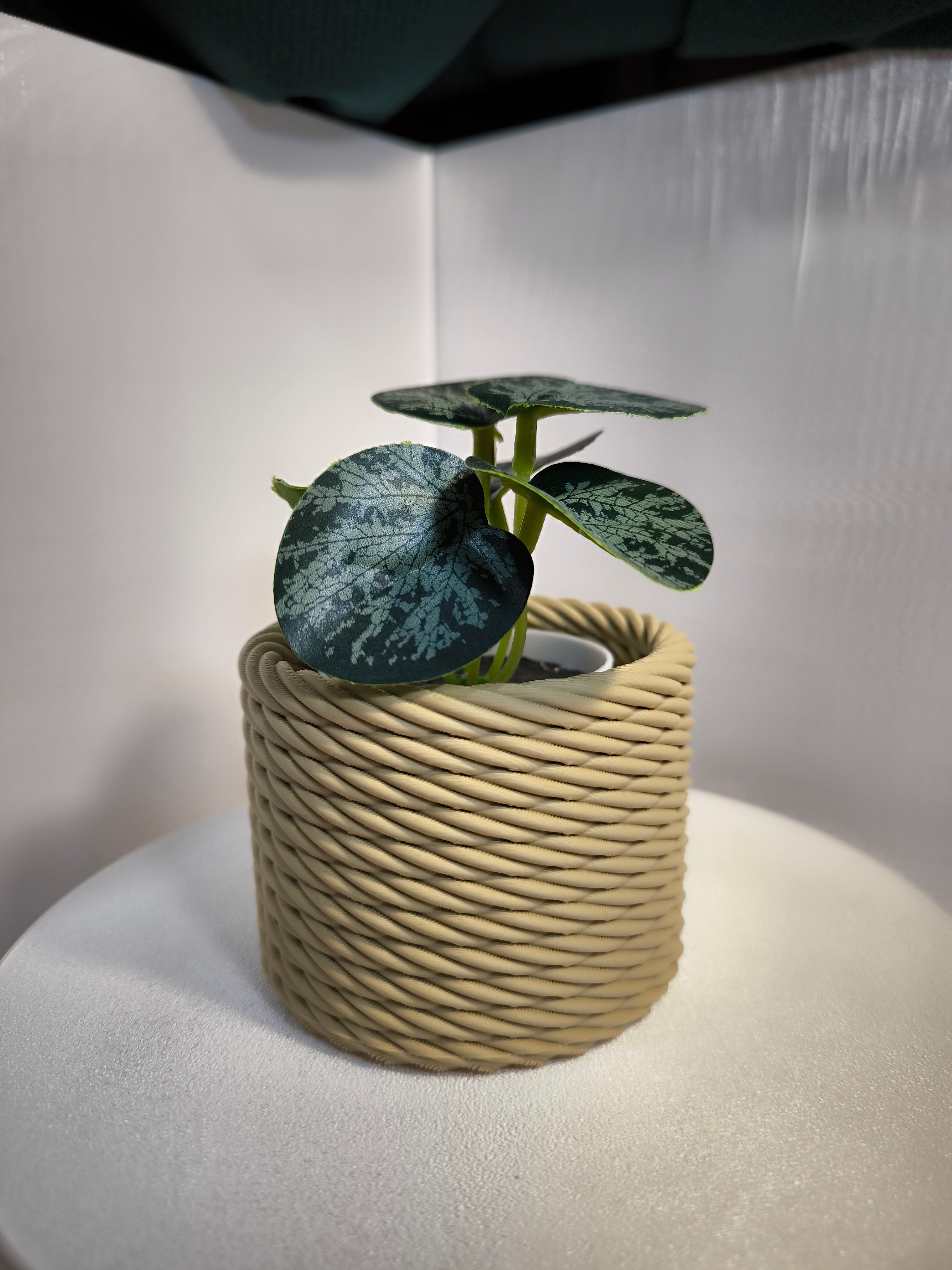 Vaso Decorativo "Corda Trançada" – O Toque que Faltava na sua Casa! 🌱✨