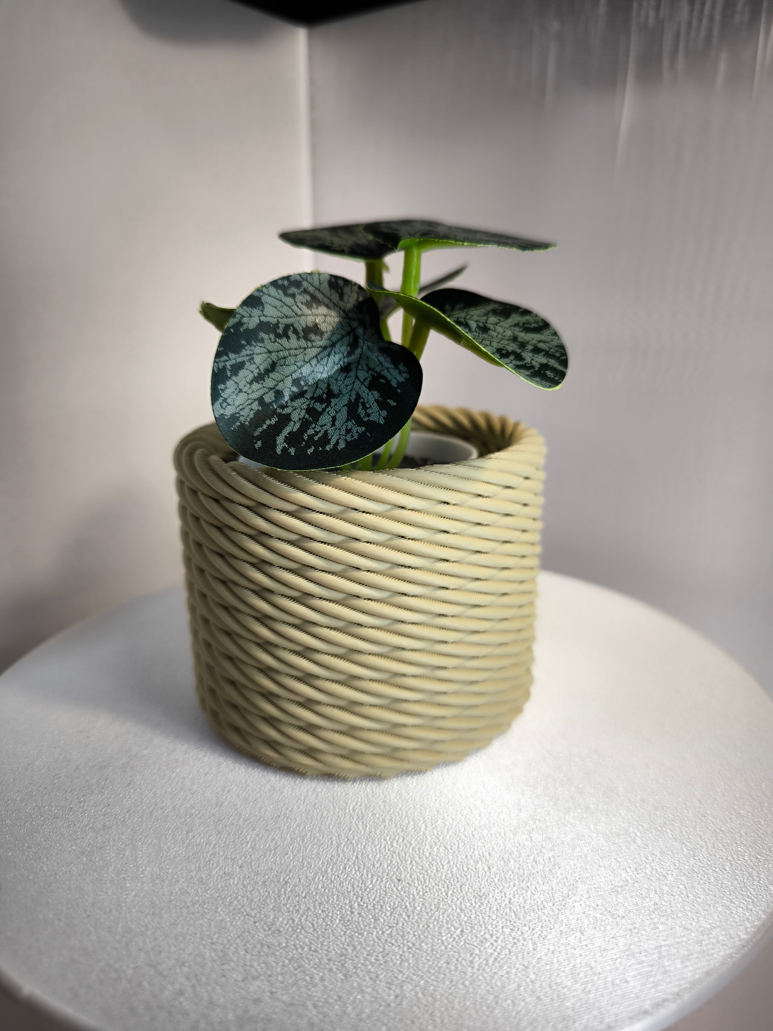 Vaso Decorativo "Corda Trançada" – O Toque que Faltava na sua Casa! 🌱✨