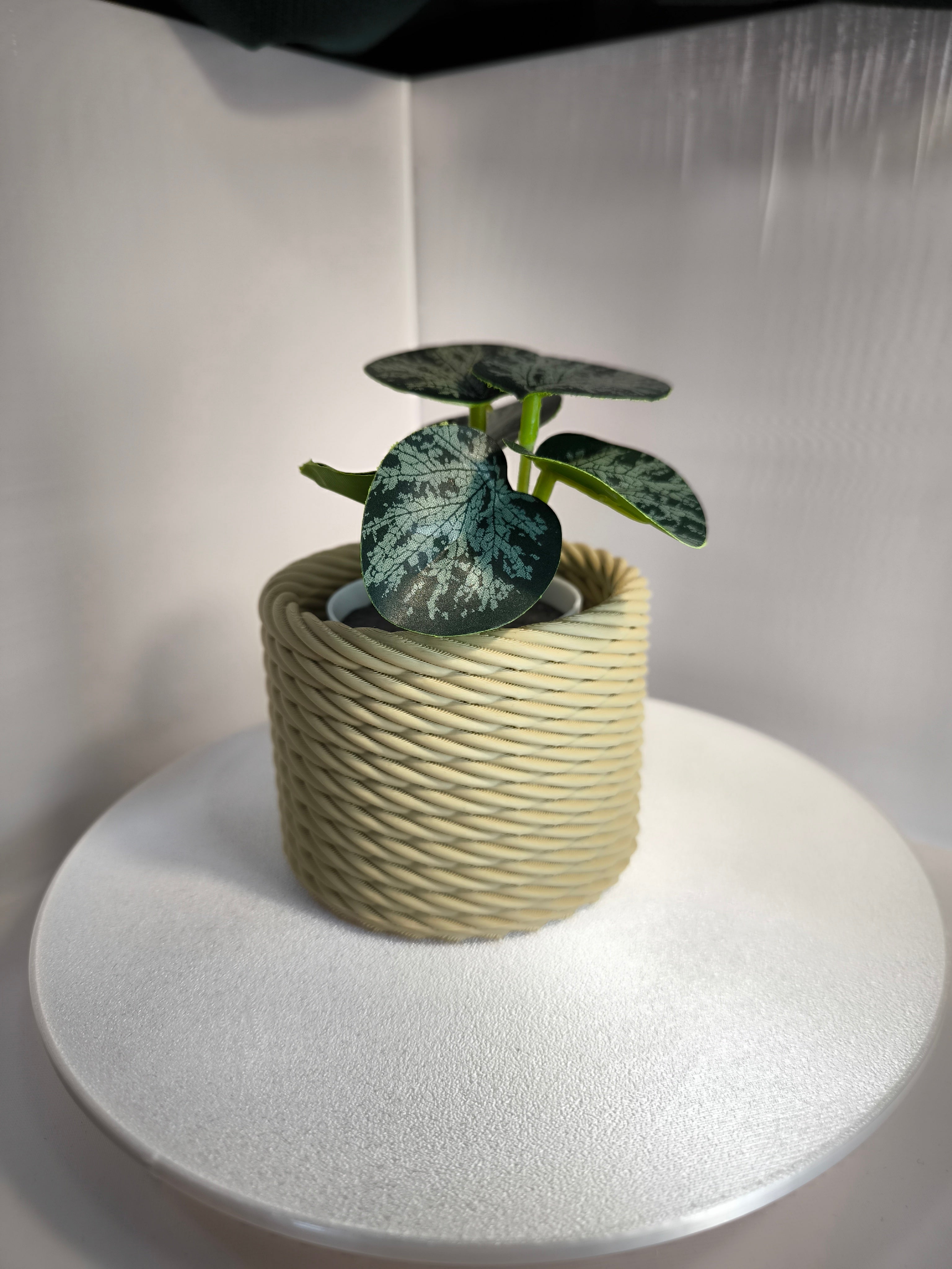 Vaso Decorativo "Corda Trançada" – O Toque que Faltava na sua Casa! 🌱✨